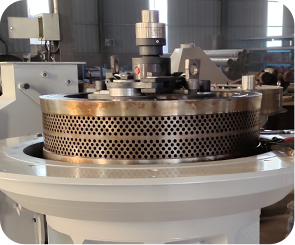 Double-layers Ring Die